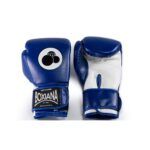 Guantes de Boxeo The BLUE One - Imagen 5