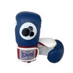 Guantes de boxeo para niños Blue SHARKY