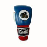 Guantes de Boxeo BLUE THUNDER