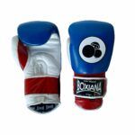 Guantes de Boxeo BLUE THUNDER - Imagen 7